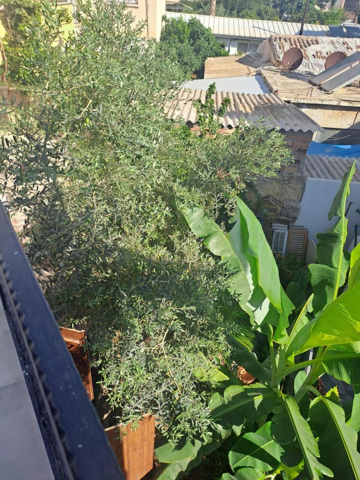 Magic Moon Guest House Фамагуста Экстерьер фото